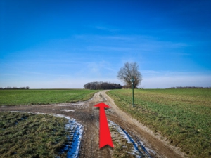 Auf der hochebene erst geradeaus - bis zur Hecke hin