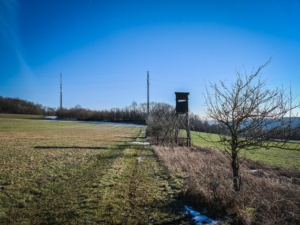 An Jägerhochsitz vorbei und an Hecke entlang