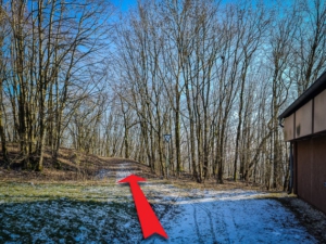 Pfad führt nach der Turm-Anlage in den Wald