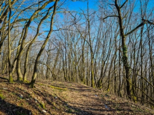 Breiter Wanderpfad am Rand der Bergkuppe