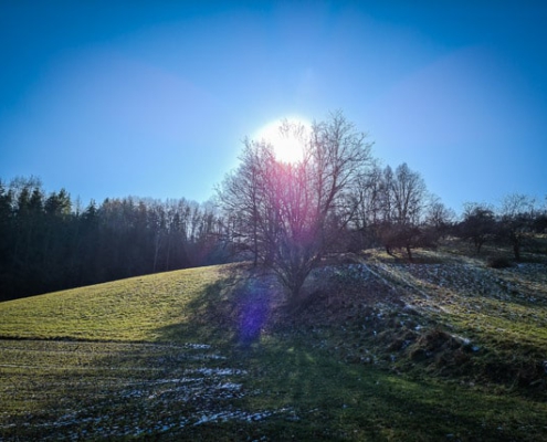 Am Weg nach hinten ins Tal