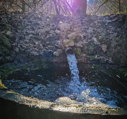 Ein Brünnlein im Frühling