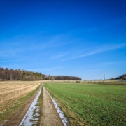 Auf der Hochebene über Obernsees