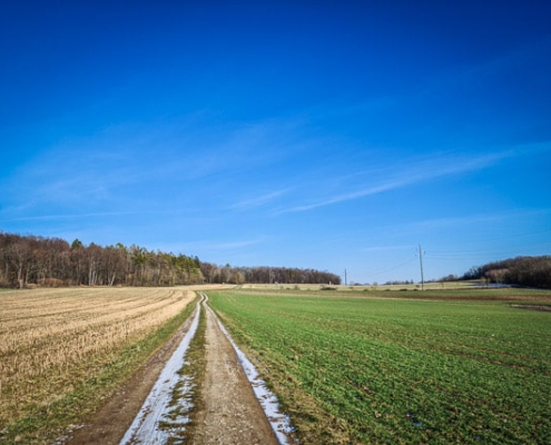 Auf der Hochebene über Obernsees