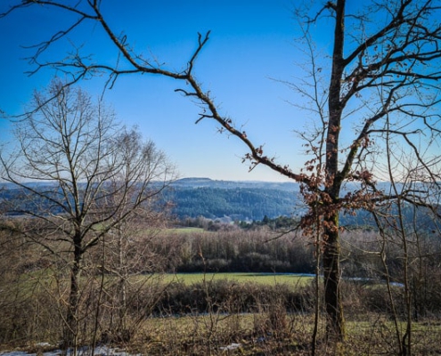 Ausblick in Richtung Neubürg