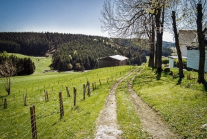 Unterhalb von Enchenreuth