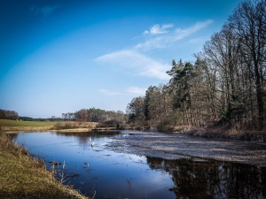 An Fischteichen entlang