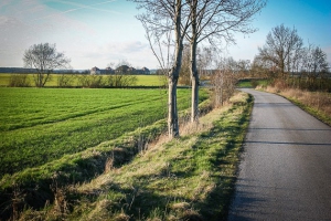 Rückweg nach Pommersfelden