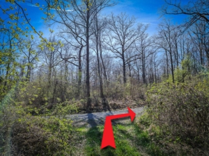 Nach 100 m im Wald auf Schotterweg nach rechts oben