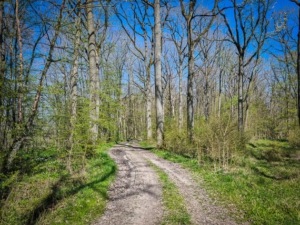 Weg auf Höhenrücken entlang