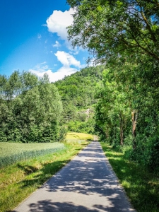 Geteerter Flurweg an Hecke