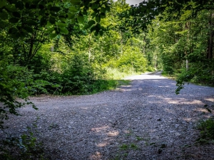 Geschotterte Wegkreuzung im Wald