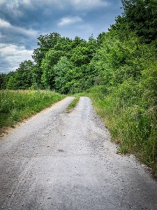 Geschotterter feldweg am Waldrand