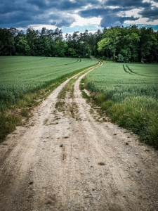 Breiter Feldweg