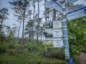 Wegweiser an großer zentraler Lichtung