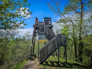 Reichenbacher Blick bei Münnerstadt