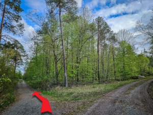 Auf breitem Schotterweg nach links