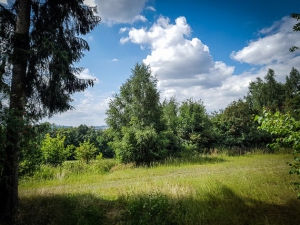 Bergab aus dem Wald