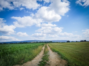 Breiter Feldweg Richtung Weißdorf