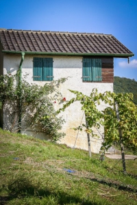 Schönes altes Weinberg-Häuschen