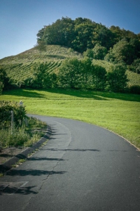 Weg auf den Stollberg