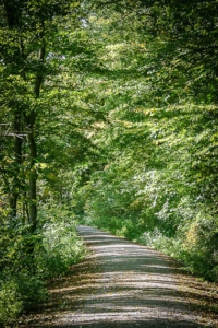 Breiter Frostweg Richtung Oberschwarzach