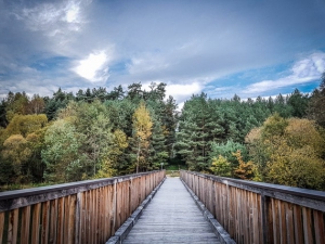 Über lange Holzbrücke