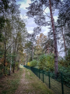 Rückweg am Freibadgelände vorbei