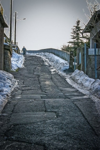 Die steile Tierbergstraße hinauf