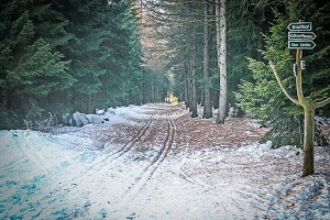 Mittlerer naturbelassener Fahrweg