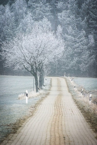 Gerader gepflasterter Feldweg