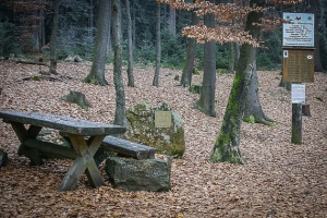 Rotmainquelle mit Holzbach-Sitzgruppen