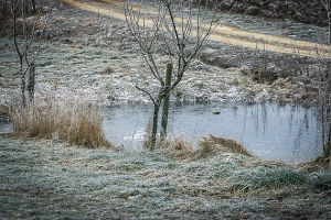 An kleinem Weiher vorbei