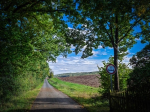 An Hecke entlang aus dem Ort