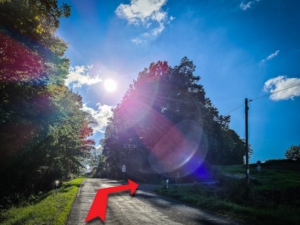 Vor dem Wald nach rechts abbiegen