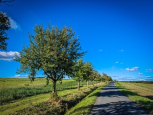 Panoramastraße Untermerzbach