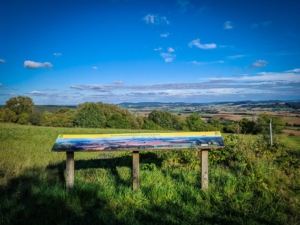 Aussichtspunkt Panoramaweg Buch