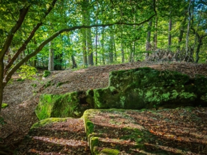 Felsen Mauern und Treppen im Wald