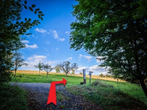 Oben am Waldrand auf der Landstraße nach rechts abbiegen