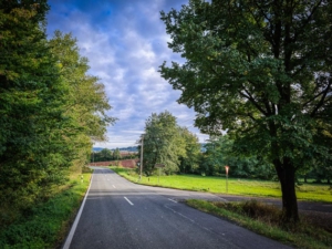 Der Landstraße an einem langen Waldrand entlang folgen