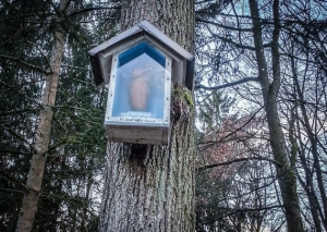 Kästchen mit Marienfigur am Baum