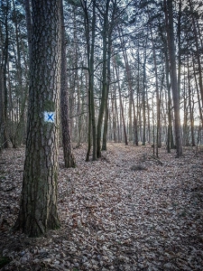 Rückweg folgt blauem Kreuz