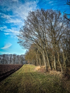 Wandern am Waldrand entlang