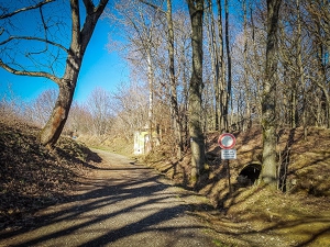 Hinter Schlaifhausen bergan