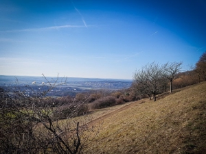 An der Bergflanke empor