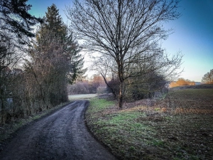 Unten im Tal vor Wiesenthau