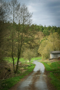 Wieder aus dem Ort hinaus