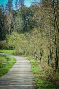 Weg an einem geraden Bach entlang