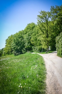 Weg oberhalb des Parkplatzes in den Wald