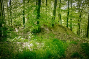 Mulden als Spuren der ehemaligen Burg